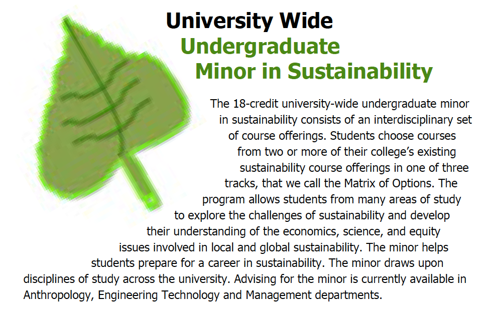 University wide minor in sustainaiblity